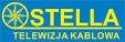 Oszustwa podatkowe Oszustwa podatkowe